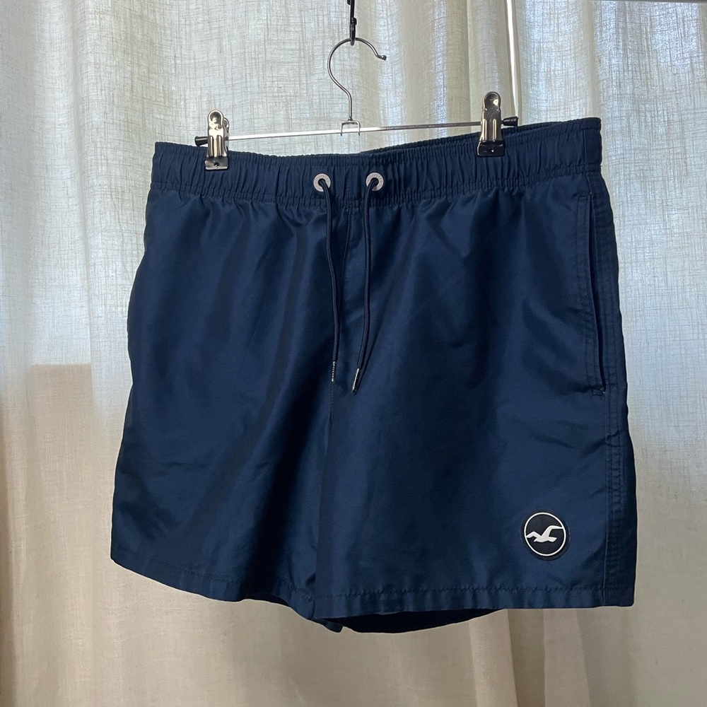 Men’s Hollister Swim Shorts